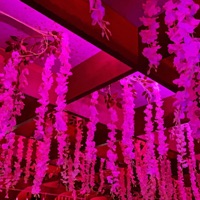 Evident (feat. Gray10k) - Single - Cute Club