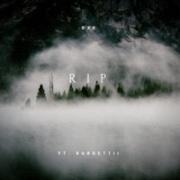 RIP (feat. Burgettii) - Single - D$r.
