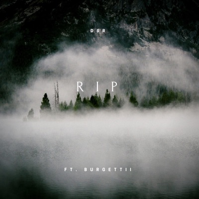 RIP (feat. Burgettii) - Single