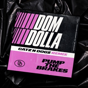 Pump the Brakes (Catz 'n Dogz Remix)