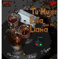 Tu Mujer Esta Que Me Llama (feat. J-Type & Marivz) - Single - Wai