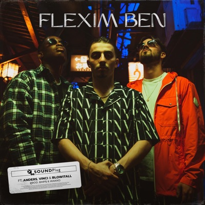 Flexim Ben (feat. BlowItAll) - Single