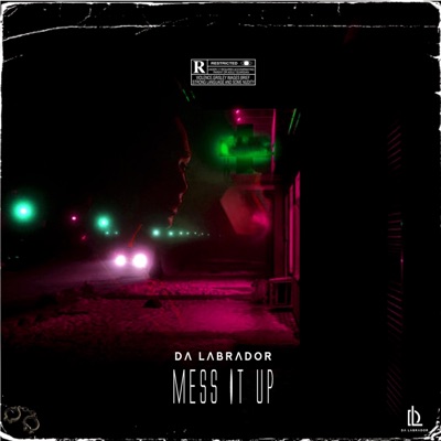 Mess It Up - Single