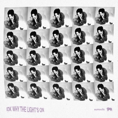 idk why the light's on - Single