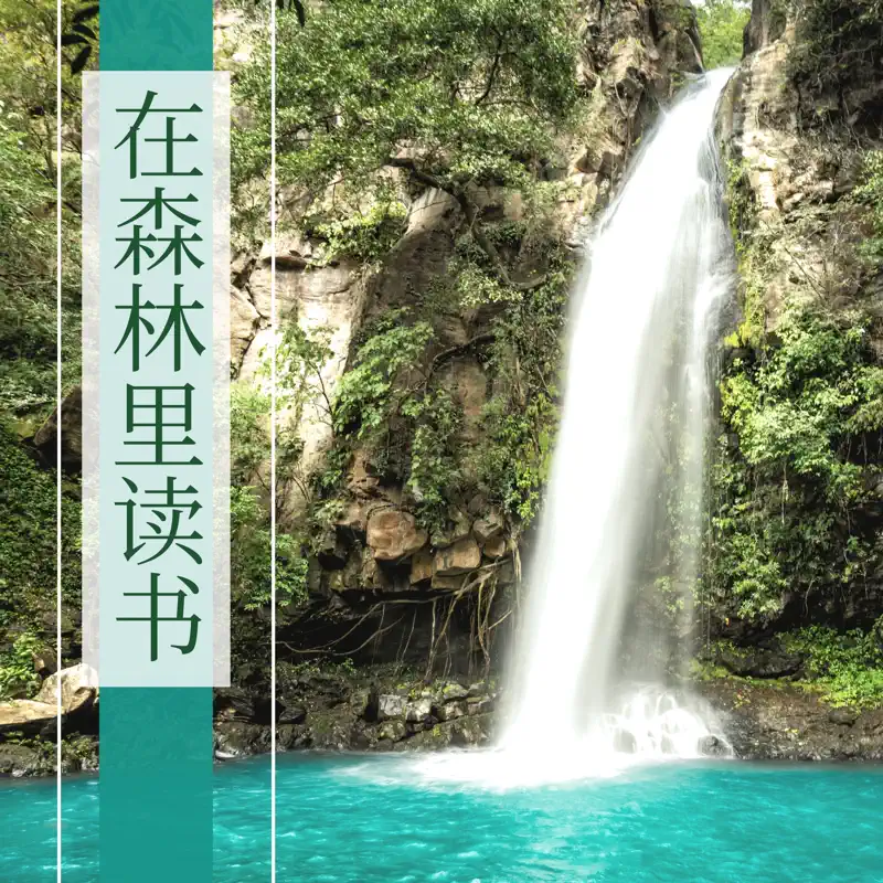 放松音乐 - 在森林里读书 - 夏天大自然声音白噪声, 注意力集中背景音乐 (2021) [iTunes Match AAC M4A]-新房子
