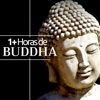 1+ Horas de Buddha - los Mejores Sonidos Relajantes para la Meditación (Flauta Shakuhachi, Cuencos Tibetanos, Sonidos del Mar)