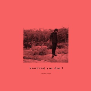 Knowing You Don't