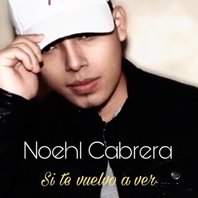 si te vuelvo a ver - Single