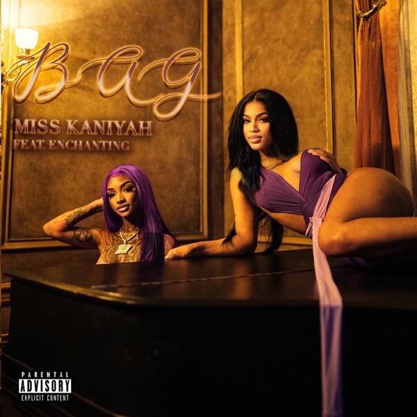 BAG (feat. Enchanting) - Single