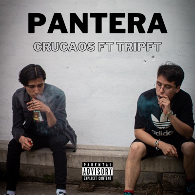 Pantera (feat. TRIPFT) - Single