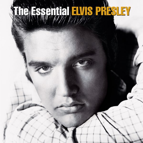 CAN'T HELP FALLING IN LOVE (TRADUÇÃO) - Elvis Presley 