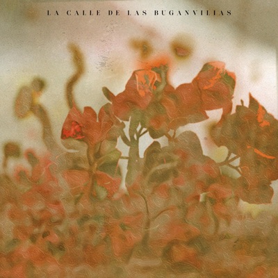 La Calle de las Buganvilias - Single
