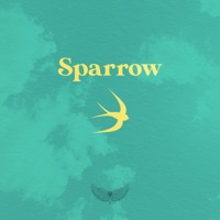 Sparrow - Single - Randy McPhly
