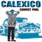 Convict Pool - EP