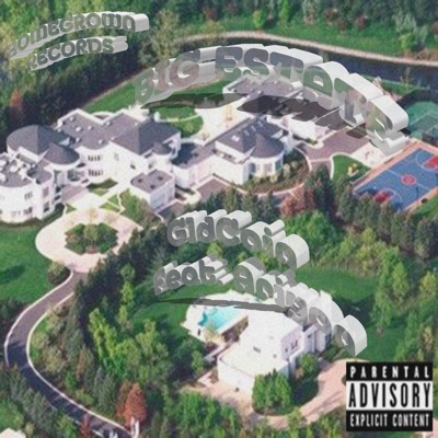 Big Estate (feat. Ariyon) - Single