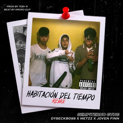 Habitación Del Tiempo (feat. Dyseckboss & FLOWMETZZ) [Remix] - Single