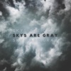 Skys Are Gray - Single