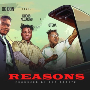 Reasons (feat. Kudos Alujoonu & Otega)