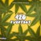 420 Everyday - Dion Primo lyrics