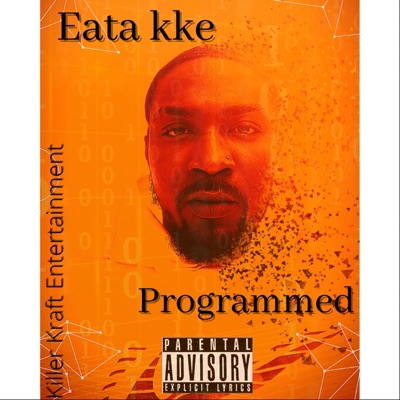 Programmed - Single