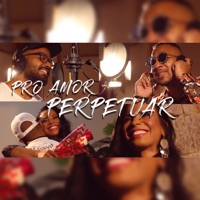 Pro Amor Perpetuar - Single - Ademir Fogaça