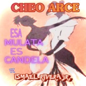 Cheo Arce - Esa Mulata Es Candela (feat. Ismael Rivera Jr)