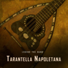 Tarantella Napoletana (Mandolin Version) - Legend the Band