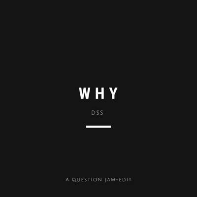 Why (feat. DSS) - Single