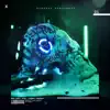 Head Like A Hole