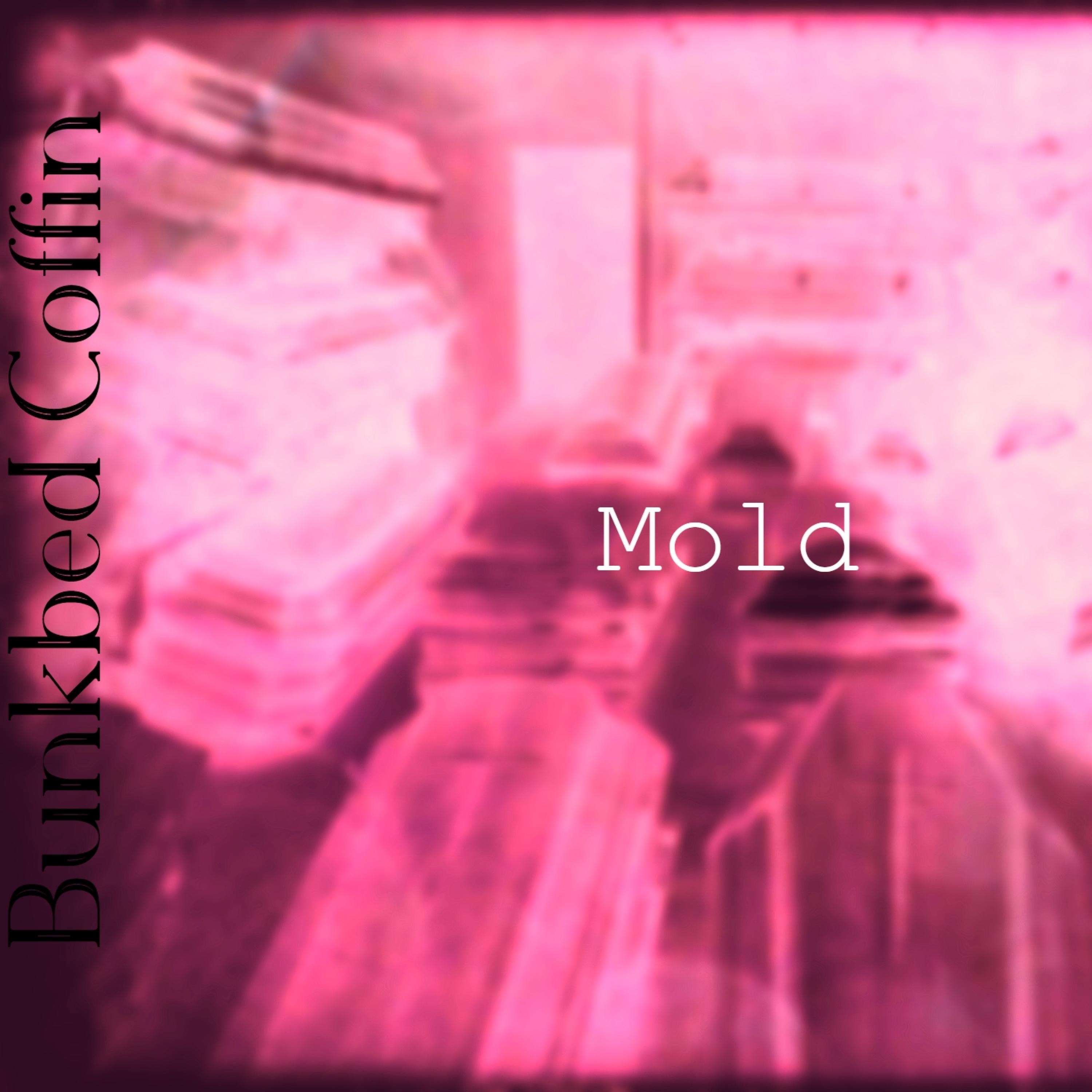 Mold