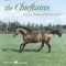 Music From Ballad Of The Irish Horse