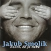 Já Nic, Já Muzikant