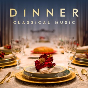 Concerto for 2 Lire Organizzate No. 2 in G Major, Hob. VIIh:2, Arr. for Oboe, Flute and Orchestra: III. Rondo. Presto
