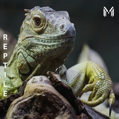 Reptile - Single