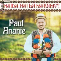 Mult Ma-Ntreaba Inima — Paul Ananie