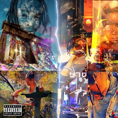 Fuego Phoenix Company - Single