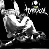 Michinoku (feat. Dan Pomfret) - Single - ToadStool