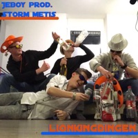 Lionkingdingen - Single - Jeboy & Storm Metis
