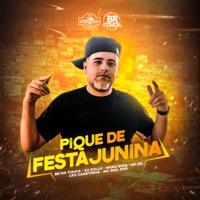 Pique de Festa Junina (feat. Leo da Zona Sul, Mc Biel PDR & DJ Zullu) - Single - BR DA TIJUCA, MC KF & Meno Bom