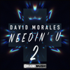 Needin' U II (feat. Juliet Roberts) - David Morales & The Face
