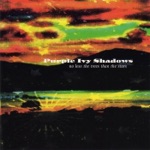 Purple Ivy Shadows - Under & Ok