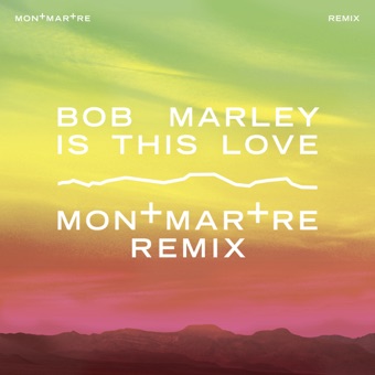 BOB MARLEY - IS THIS LOVE [P.Dia]