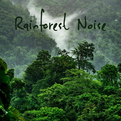 Rainforest Noise - Single