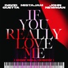DAVID GUETTA/MISTAJAM/JOHN NEWMAN - If You Really Love Me (How Will I Know) (Record Mix)