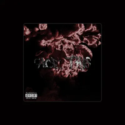 Listen to NoBxndz, watch music videos, read bio, see tour dates & more!
