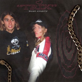 Trix (feat. Enjoy) Slater