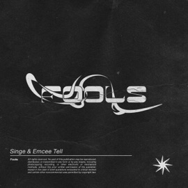 Fools (The Ever Reminiscent Mix) Singe