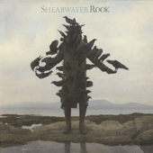 Rooks - Shearwater Cover Art