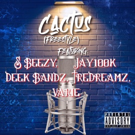 Cactus (Freestyle ) [feat. Jay100k, Vari, S Beezy & Deek Bandz] TreDreamz