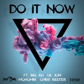 Do It Now (Nikoo Dance Mix) Big Ali, Lil Jon, Mohombi & Chris Reeder